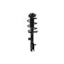 FCS Struts 1331789R Suspension Strut and Coil Spring Assembly
