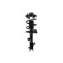 FCS Struts 1331790R Suspension Strut and Coil Spring Assembly