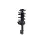 FCS Struts 1331794R Suspension Strut and Coil Spring Assembly