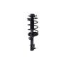 FCS Struts 1331796L Suspension Strut and Coil Spring Assembly
