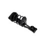 FCS Struts 1331799L Suspension Strut and Coil Spring Assembly