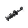 FCS Struts 1331802L Suspension Strut and Coil Spring Assembly