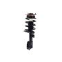 FCS Struts 1331818 Suspension Strut and Coil Spring Assembly