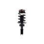 FCS Struts 1331818 Suspension Strut and Coil Spring Assembly