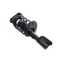 FCS Struts 1331818 Suspension Strut and Coil Spring Assembly