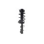 FCS Struts 1331821 Suspension Strut and Coil Spring Assembly