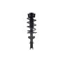 FCS Struts 1331821 Suspension Strut and Coil Spring Assembly