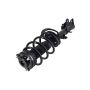 FCS Struts 1331821 Suspension Strut and Coil Spring Assembly
