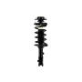 FCS Struts 1331826L Suspension Strut and Coil Spring Assembly