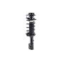 FCS Struts 1331826R Suspension Strut and Coil Spring Assembly