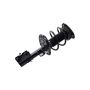 FCS Struts 1331839L Suspension Strut and Coil Spring Assembly