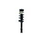 FCS Struts 1331845R Suspension Strut and Coil Spring Assembly