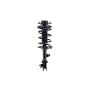 FCS Struts 1331900L Suspension Strut and Coil Spring Assembly