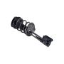 FCS Struts 1331900L Suspension Strut and Coil Spring Assembly