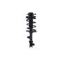 FCS Struts 1331900R Suspension Strut and Coil Spring Assembly