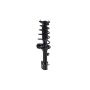 FCS Struts 1331901L Suspension Strut and Coil Spring Assembly