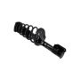 FCS Struts 1331901L Suspension Strut and Coil Spring Assembly
