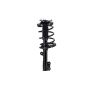 FCS Struts 1331908L Suspension Strut and Coil Spring Assembly
