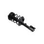 FCS Struts 1331908L Suspension Strut and Coil Spring Assembly