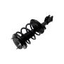 FCS Struts 1331908R Suspension Strut and Coil Spring Assembly