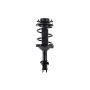 FCS Struts 1331911R Suspension Strut and Coil Spring Assembly