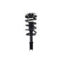 FCS Struts 1332301 Suspension Strut and Coil Spring Assembly