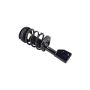 FCS Struts 1332301 Suspension Strut and Coil Spring Assembly