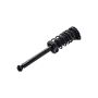 FCS Struts 1332302 Suspension Strut and Coil Spring Assembly