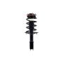 FCS Struts 1332303 Suspension Strut and Coil Spring Assembly