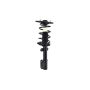 FCS Struts 1332304L Suspension Strut and Coil Spring Assembly