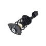 FCS Struts 1332304L Suspension Strut and Coil Spring Assembly