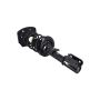 FCS Struts 1332304L Suspension Strut and Coil Spring Assembly