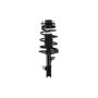 FCS Struts 1332305L Suspension Strut and Coil Spring Assembly