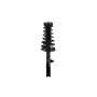 FCS Struts 1332306L Suspension Strut and Coil Spring Assembly