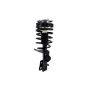 FCS Struts 1332308 Suspension Strut and Coil Spring Assembly