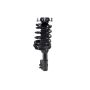 FCS Struts 1332314 Suspension Strut and Coil Spring Assembly
