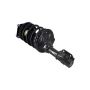 FCS Struts 1332314 Suspension Strut and Coil Spring Assembly