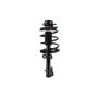 FCS Struts 1332316L Suspension Strut and Coil Spring Assembly