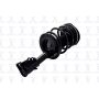 FCS Struts 1332319L Suspension Strut and Coil Spring Assembly
