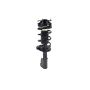 FCS Struts 1332320 Suspension Strut and Coil Spring Assembly