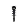 FCS Struts 1332320 Suspension Strut and Coil Spring Assembly