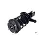 FCS Struts 1332322L Suspension Strut and Coil Spring Assembly