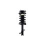 FCS Struts 1332323L Suspension Strut and Coil Spring Assembly