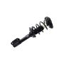 FCS Struts 1332326L Suspension Strut and Coil Spring Assembly
