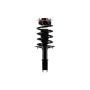 FCS Struts 1332327 Suspension Strut and Coil Spring Assembly