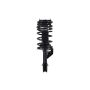 FCS Struts 1332329 Suspension Strut and Coil Spring Assembly