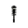FCS Struts 1332334 Suspension Strut and Coil Spring Assembly