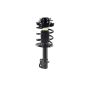 FCS Struts 1332339 Suspension Strut and Coil Spring Assembly