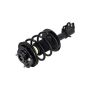 FCS Struts 1332339 Suspension Strut and Coil Spring Assembly