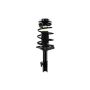 FCS Struts 1332341L Suspension Strut and Coil Spring Assembly